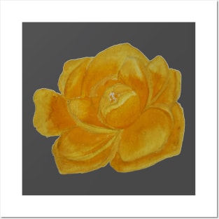 Yellow rose blossom, handpainted gouache watercolor Posters and Art